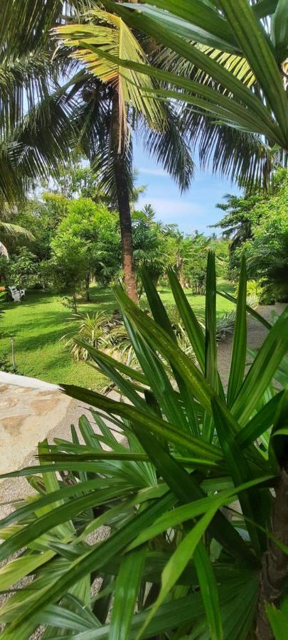 New Holiday Reach Unawatuna Esterno foto